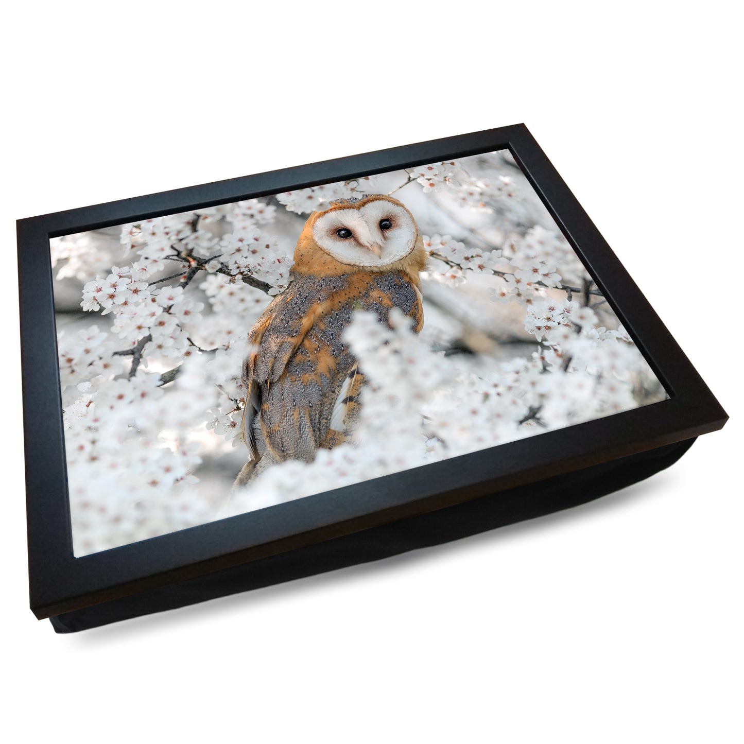 Barn Owl in a Cherry Blossom Tree Cushioned Lap Tray