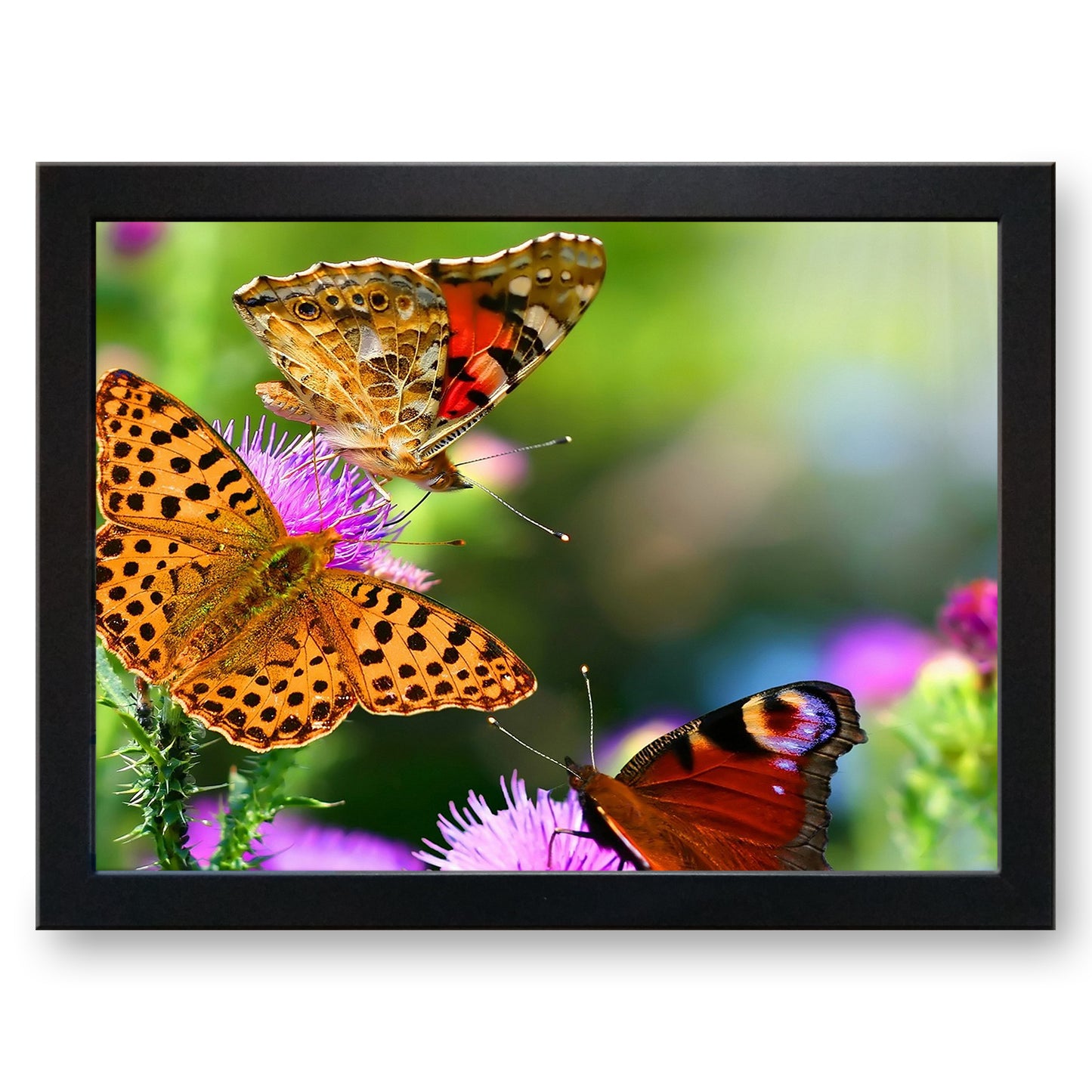 Butterflies on Flowers Cushioned Lap Tray