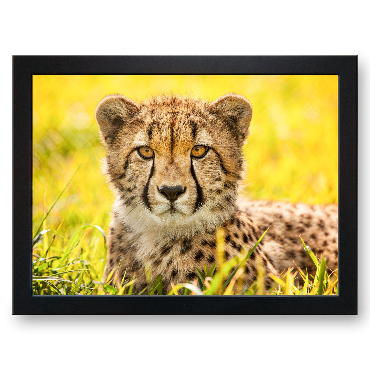 Cheetah in the Grass Cushioned Lap Tray