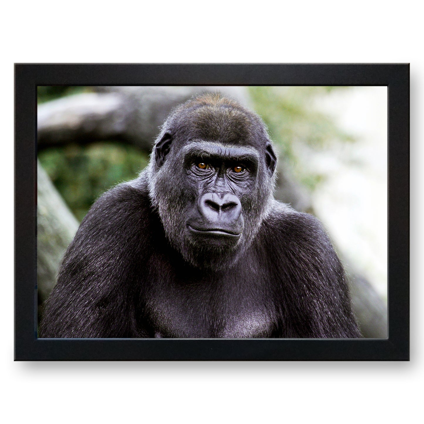 Gorilla Cushioned Lap Tray