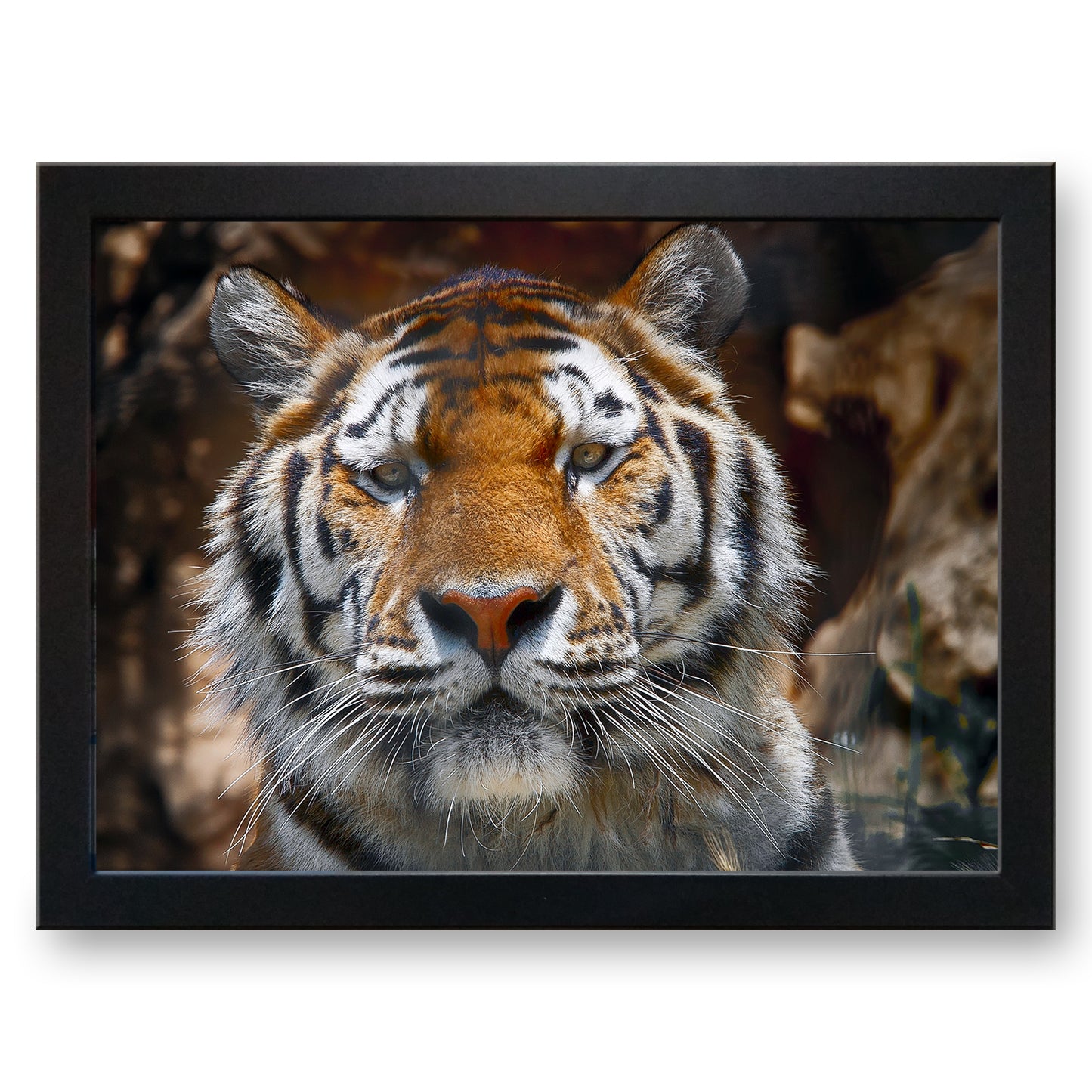 Tiger Cushioned Lap Tray
