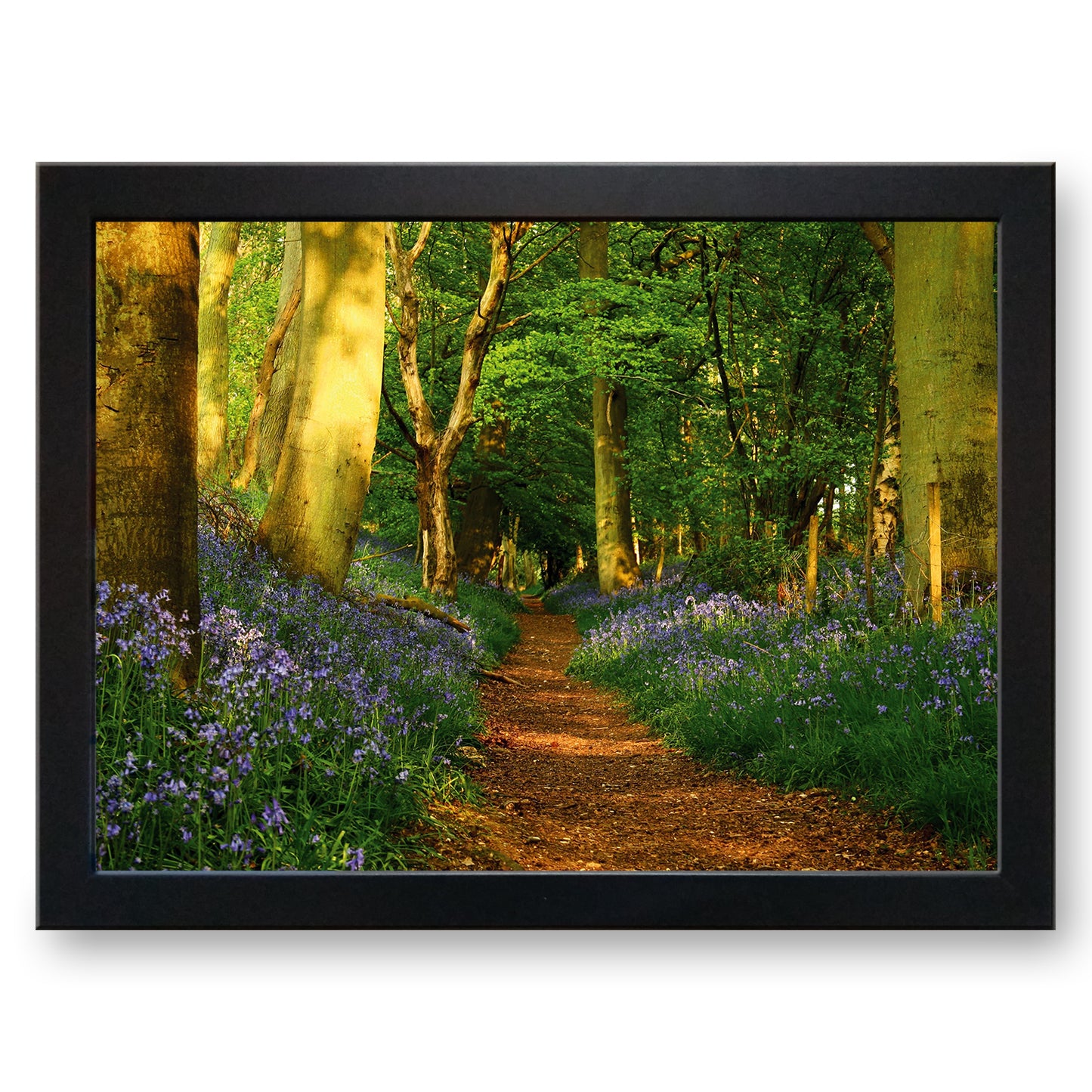 Woodland Path Cushioned Lap Tray - my personalised lap tray | mooki -