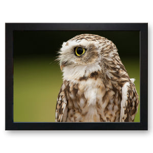 Owl Cushioned Lap Tray - my personalised lap tray | mooki -