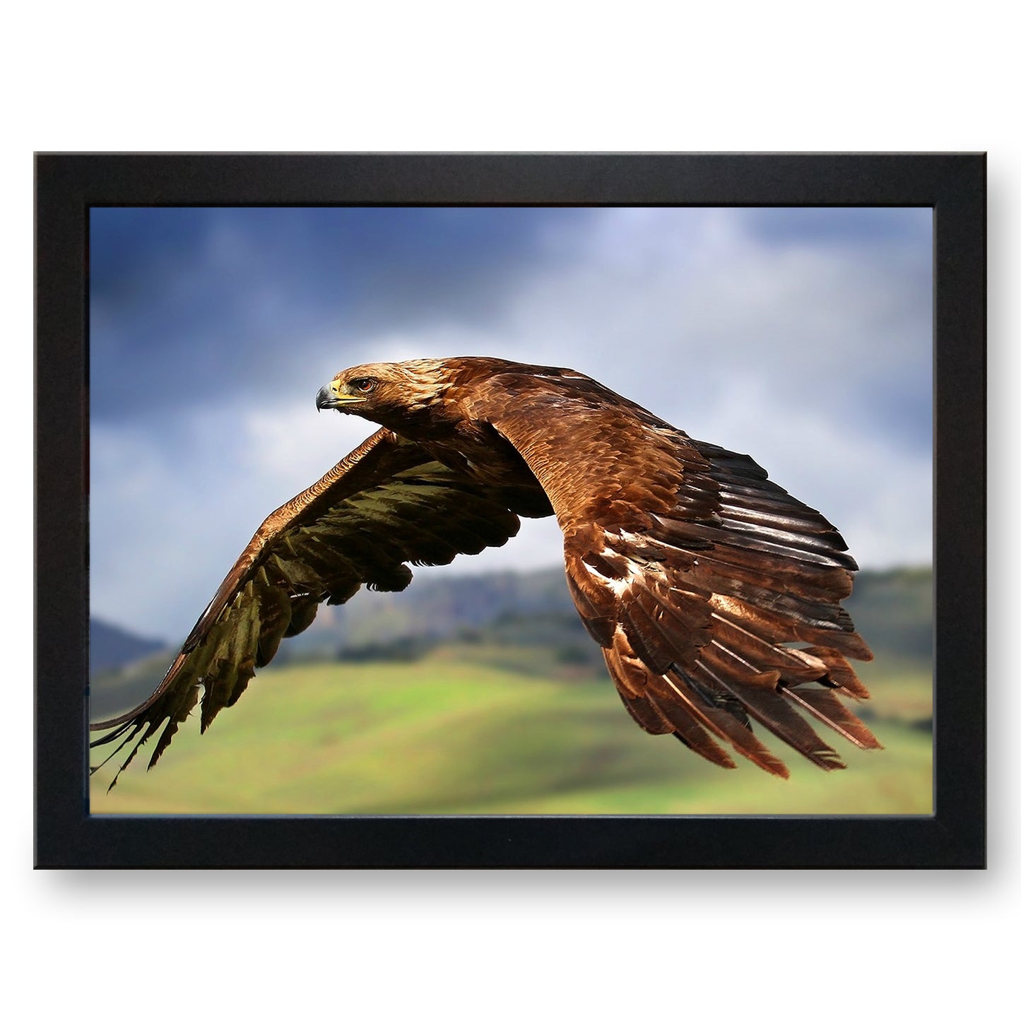 Golden Eagle in Flight Cushioned Lap Tray - my personalised lap tray | mooki -