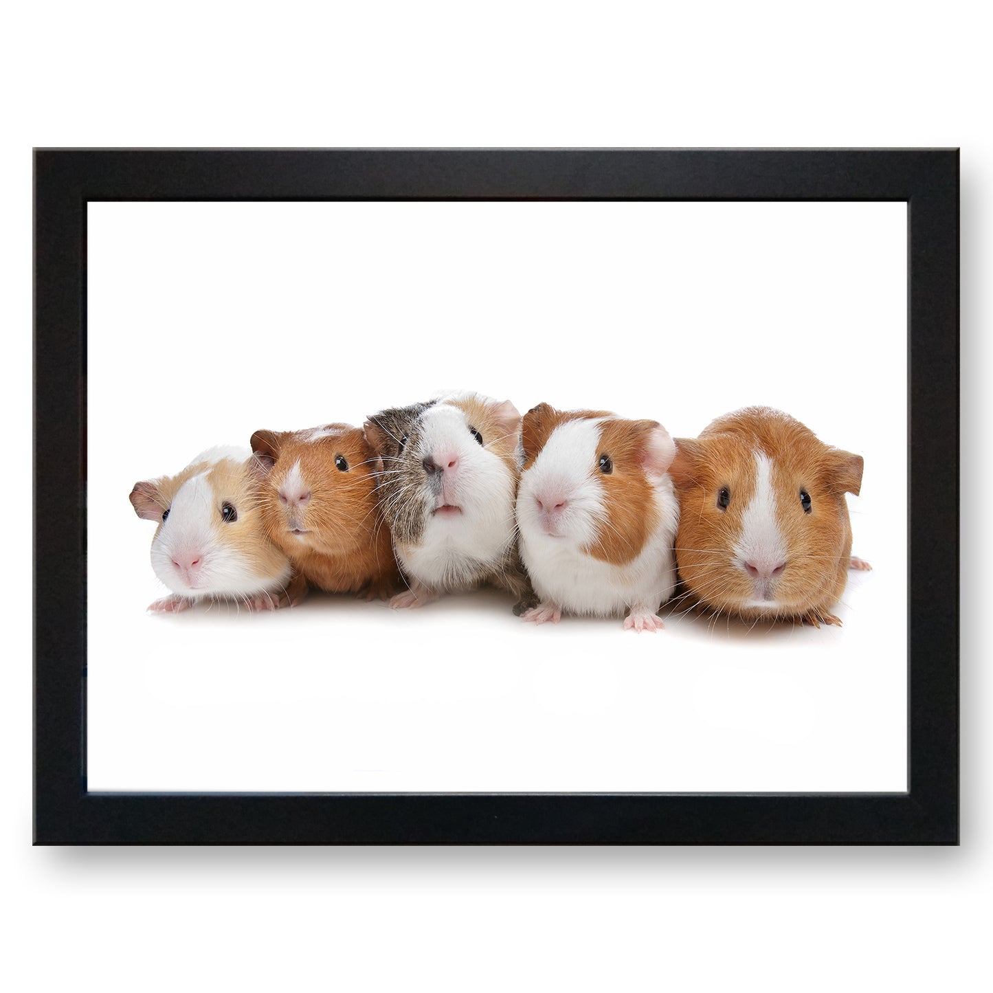 Family of Guinea Pigs Cushioned Lap Tray - my personalised lap tray | mooki -