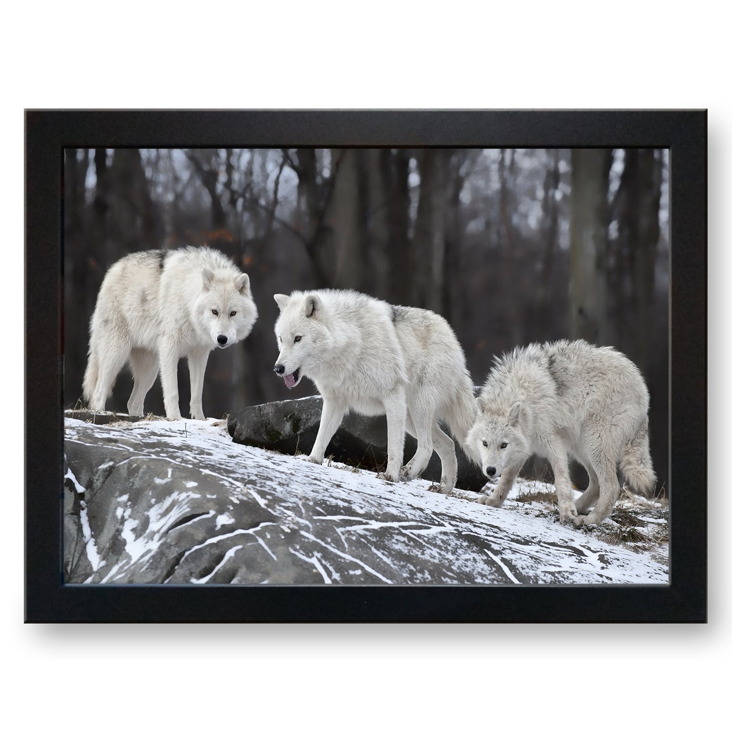 Trio of White Wolves Cushioned Lap Tray - my personalised lap tray | mooki -