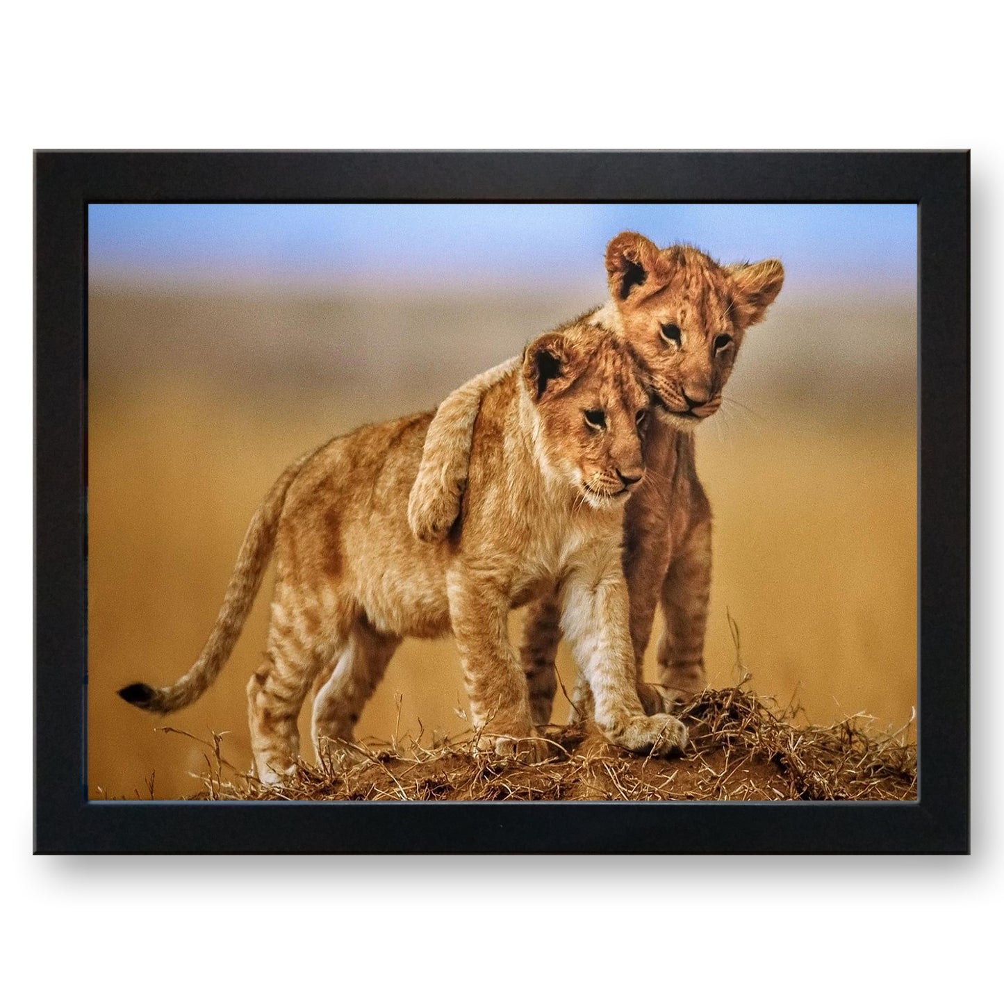 Lion Cub Brothers Cushioned Lap Tray - my personalised lap tray | mooki -