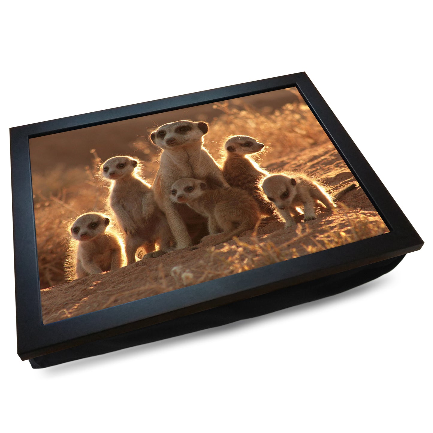 Family of Meerkats Cushioned Lap Tray