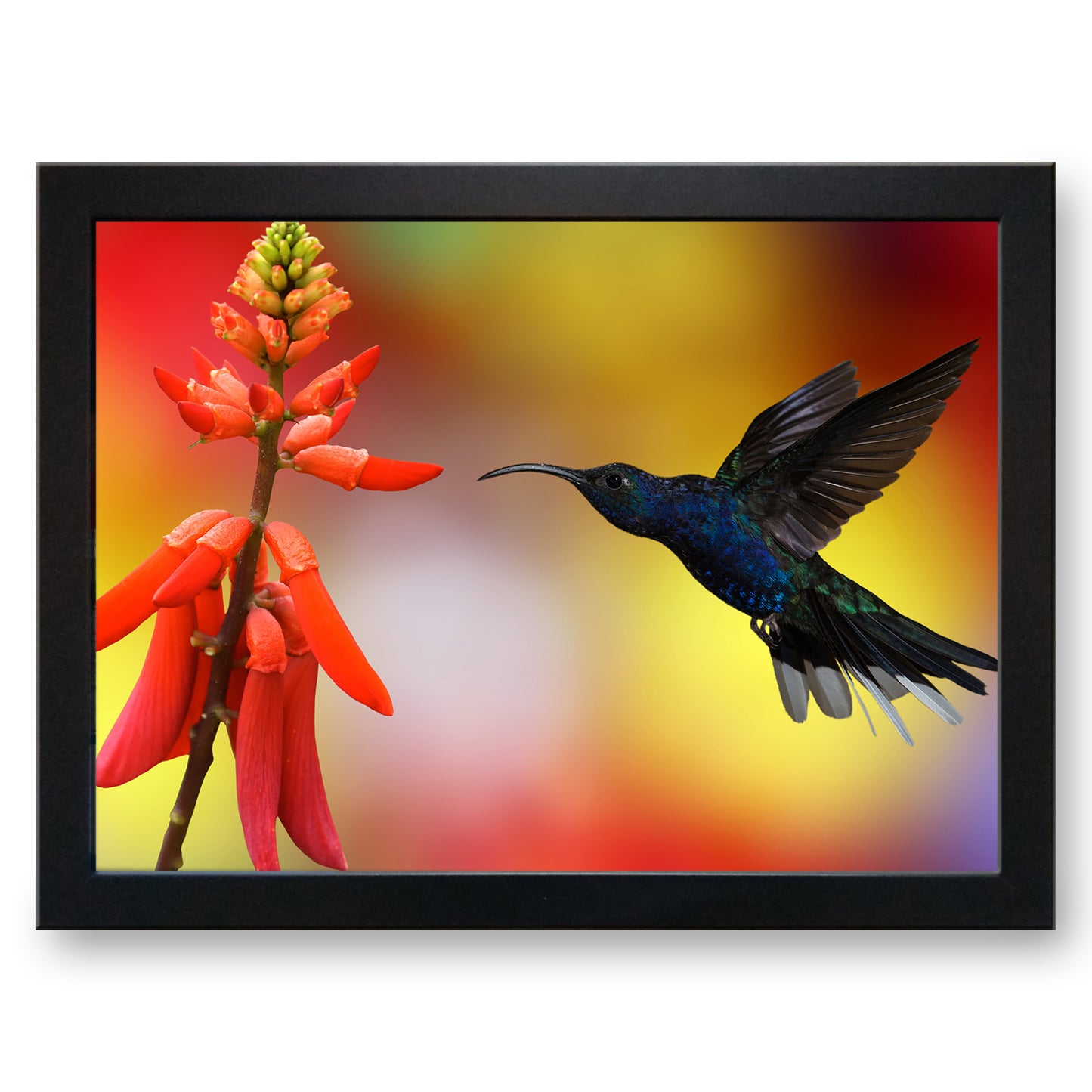Hummingbird Cushioned Lap Tray