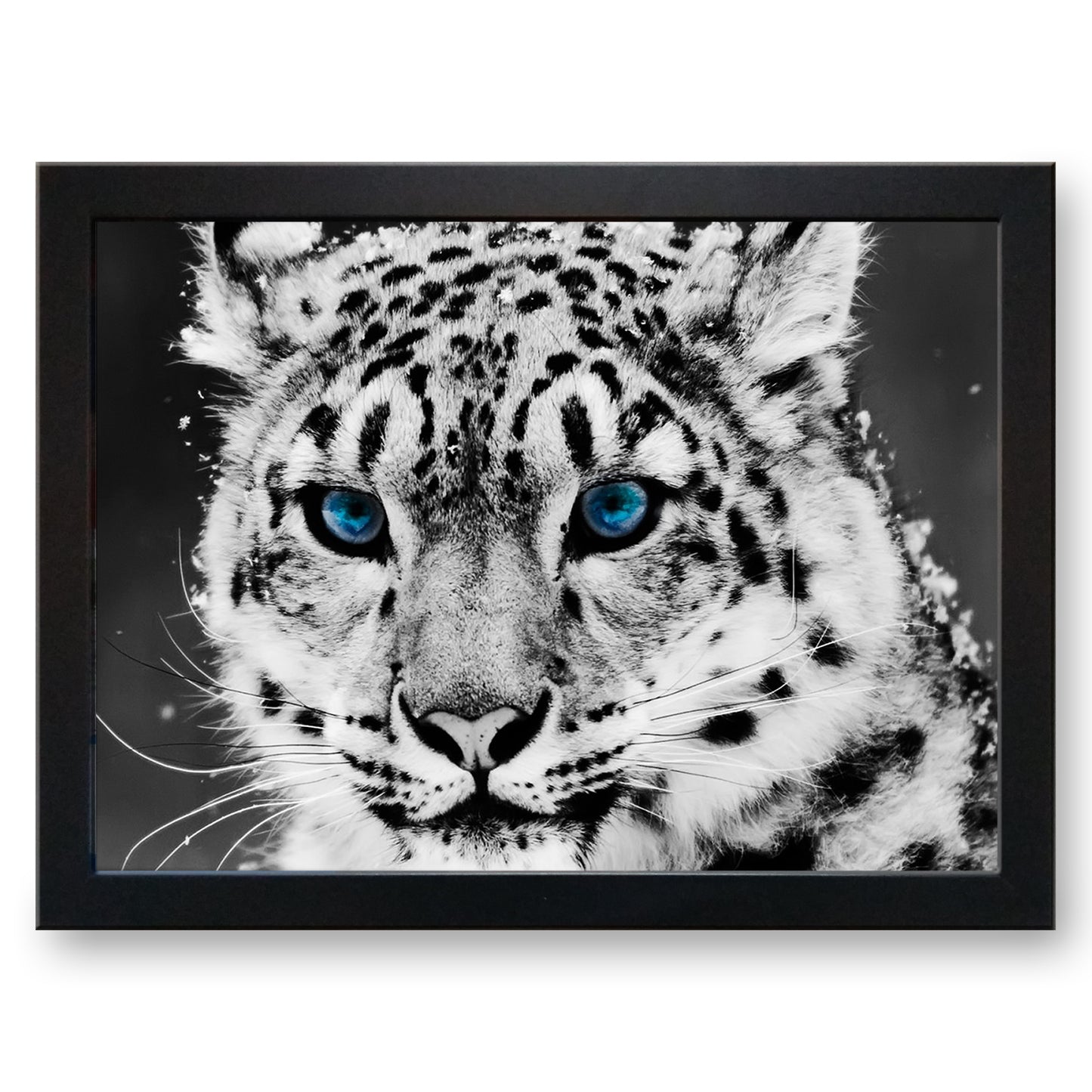 Snow Leopard Cushioned Lap Tray - my personalised lap tray | mooki -