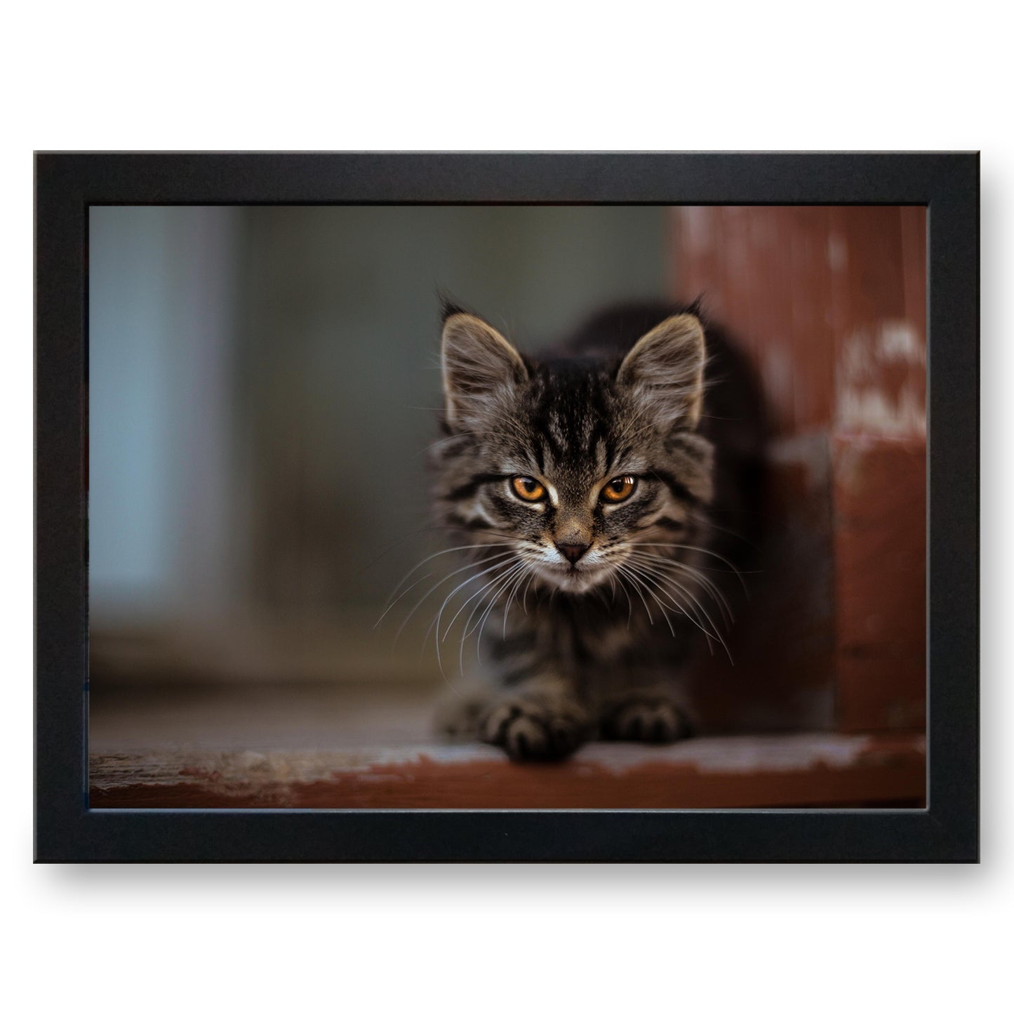 Intense Prowling Tabby Cat Cushioned Lap Tray - my personalised lap tray | mooki -