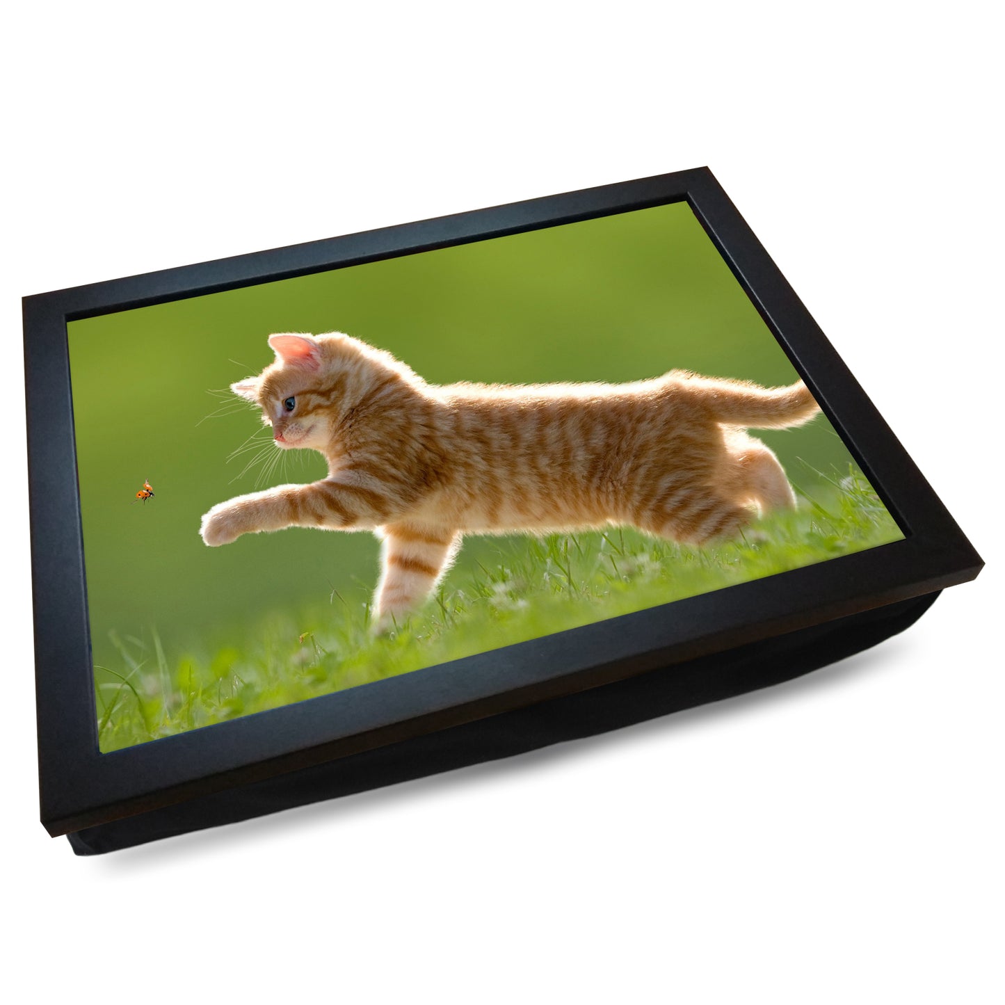 Ginger Tabby Kitten Playing with a Ladybird Cushioned Lap Tray - my personalised lap tray | mooki -