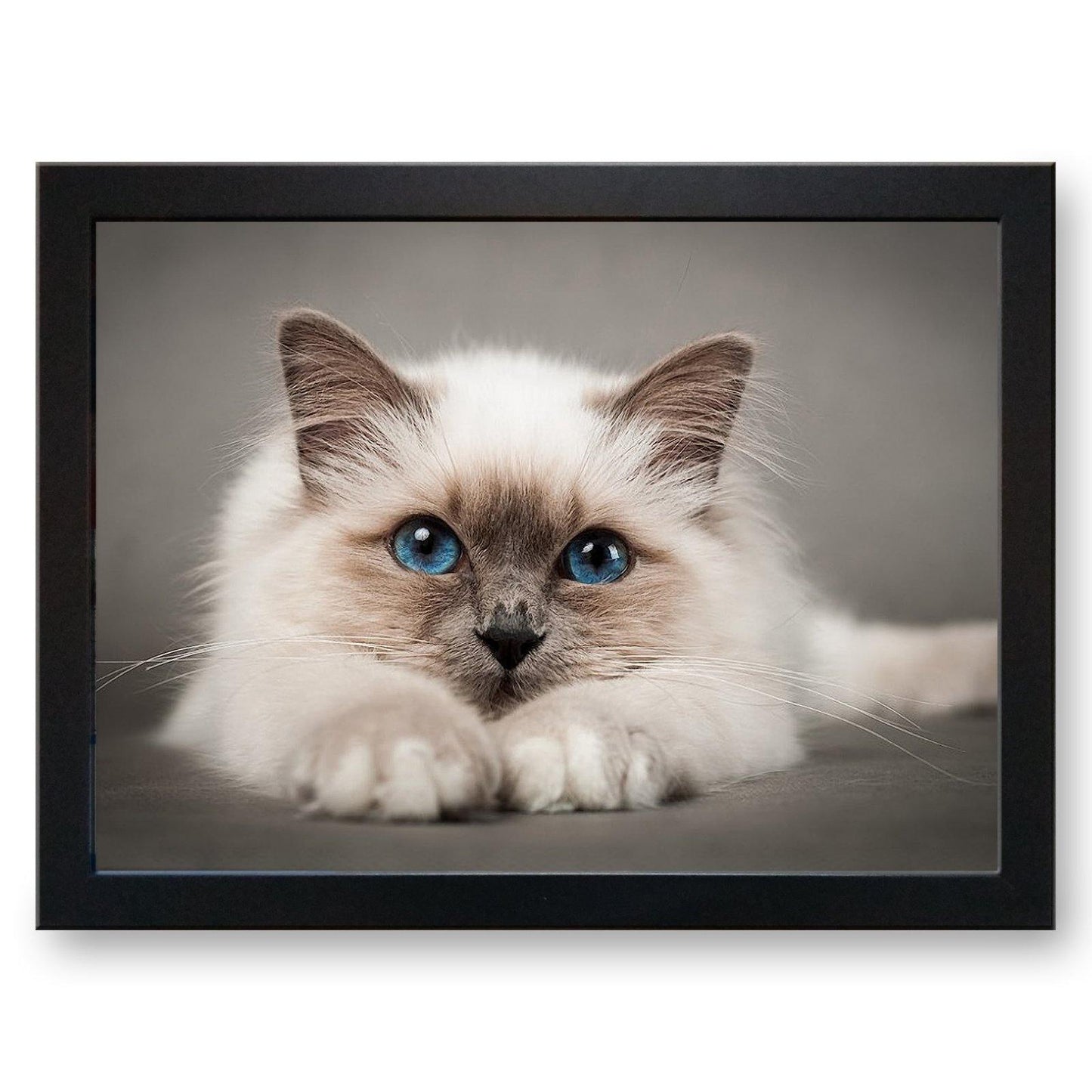 Birman Burmese Cat Cushioned Lap Tray - my personalised lap tray | mooki -