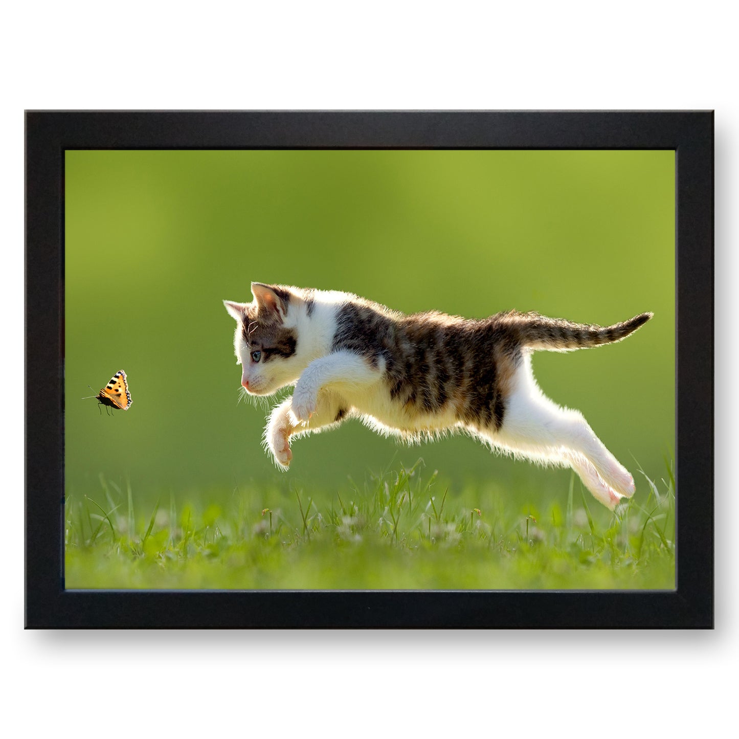 Tabby Kitten Chasing Butterfly Cushioned Lap Tray - my personalised lap tray | mooki -