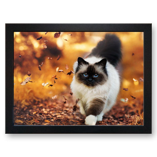 Birman Burmese Cat Walking thru Autumn Leaves Cushioned Lap Tray - my personalised lap tray | mooki -