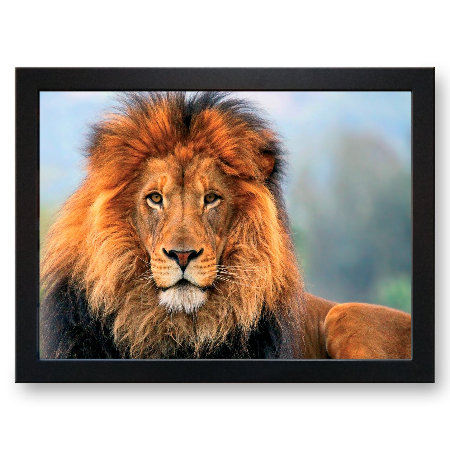 Lion Cushioned Lap Tray