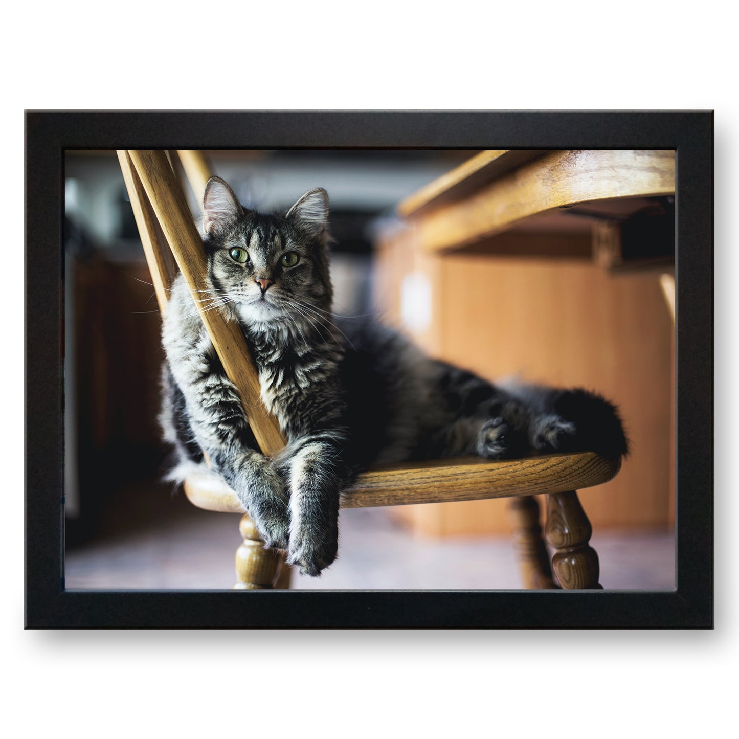 Fluffy Long-Haired Tabby Cat Relaxing on a Chair Cushioned Lap Tray