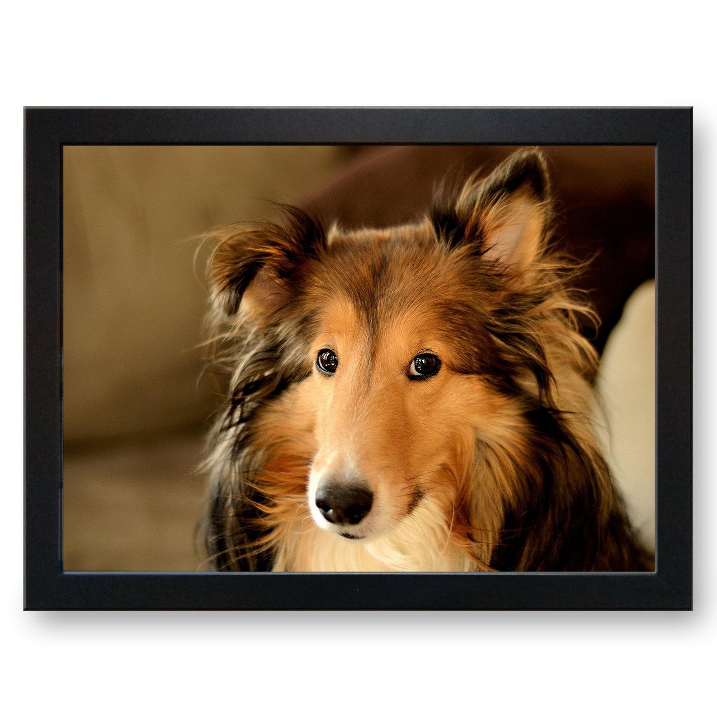 Collie Dog Cushioned Lap Tray - my personalised lap tray | mooki -