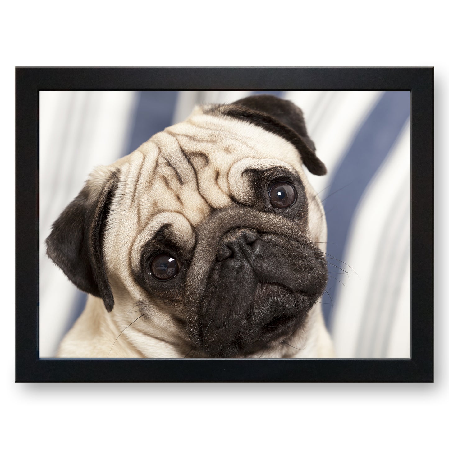 Pug Dog Cushioned Lap Tray - my personalised lap tray | mooki -