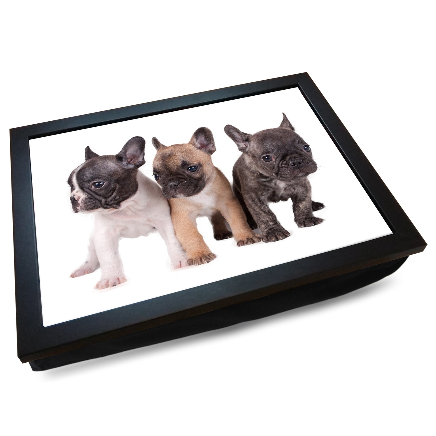 Trio of French Bulldog Puppies Cushioned Lap Tray - my personalised lap tray | mooki -