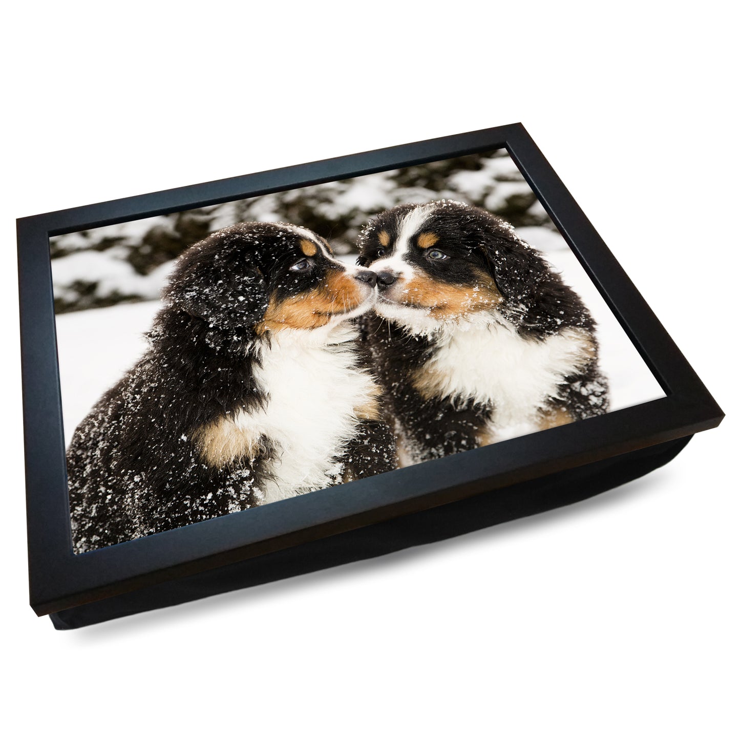 Pair of Bernese Mountain Puppies Cushioned Lap Tray - my personalised lap tray | mooki -