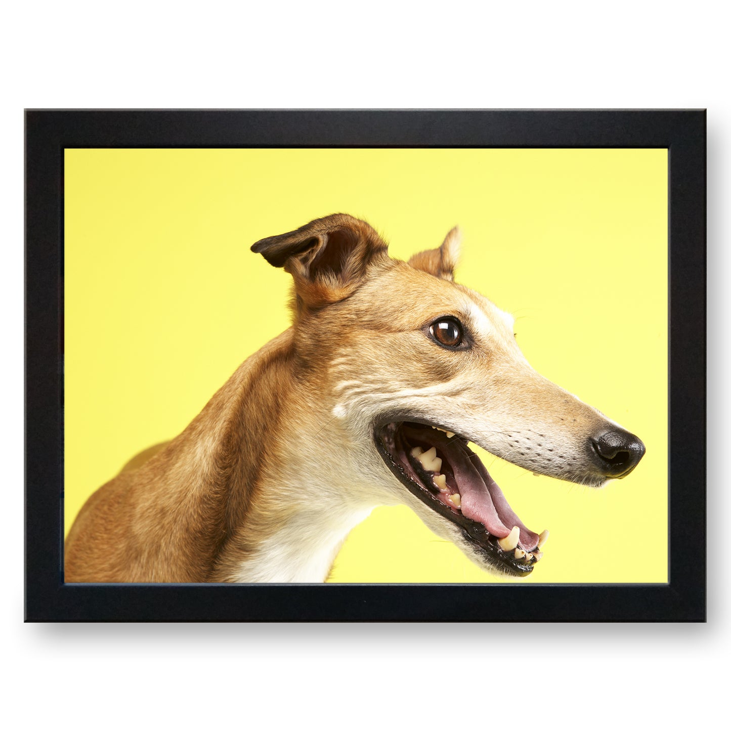 Greyhound Dog Cushioned Lap Tray