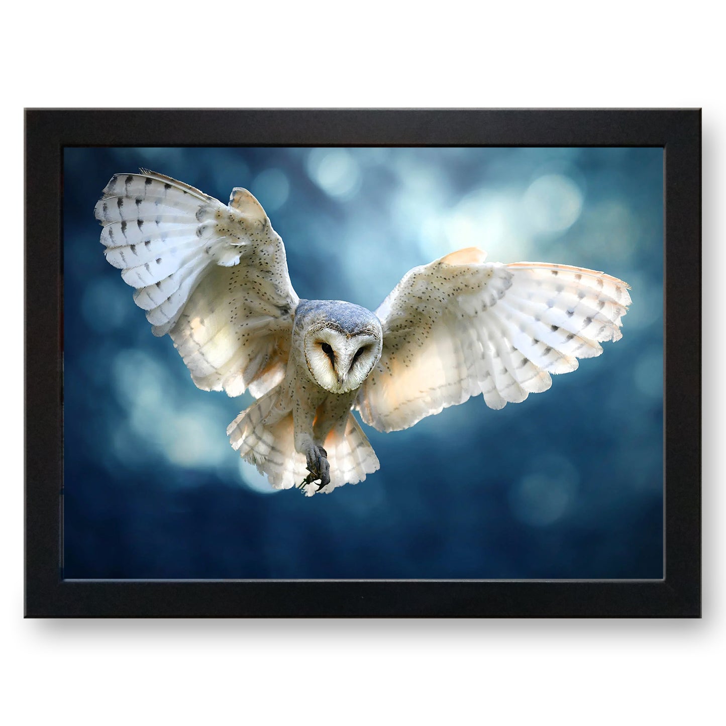 Barn Owl in Flight Cushioned Lap Tray