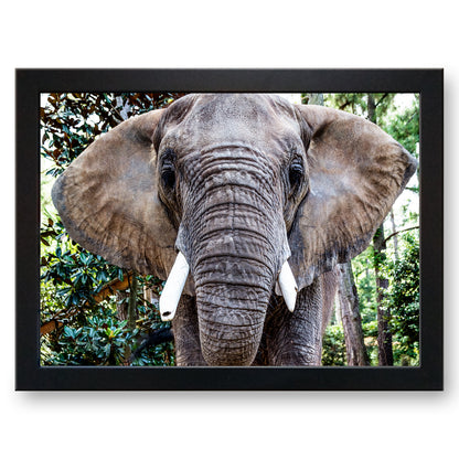 African Elephant Cushioned Lap Tray