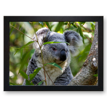 Koala Bear Cushioned Lap Tray
