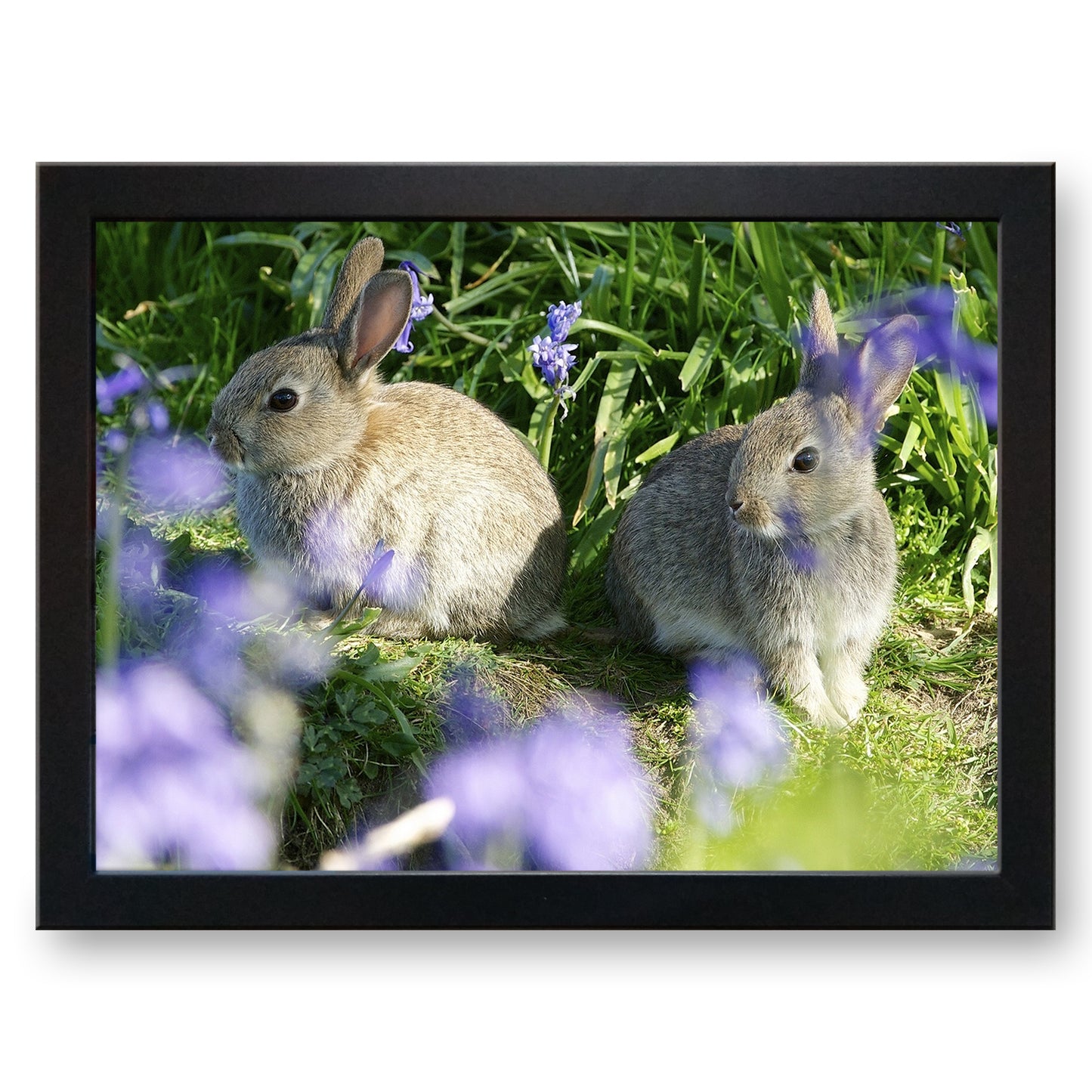 Pair of Cute Bunny Rabbits Amongst the Flowers Cushioned Lap Tray