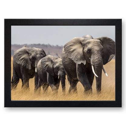 African Elephants in Masai Mara Cushioned Lap Tray