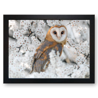 Barn Owl in a Cherry Blossom Tree Cushioned Lap Tray