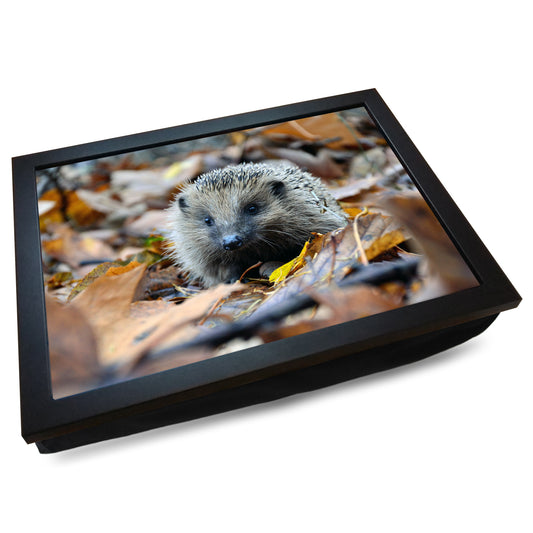 Hedgehog Amongst the Leaves Cushioned Lap Tray