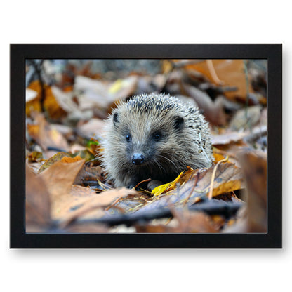 Hedgehog Amongst the Leaves Cushioned Lap Tray