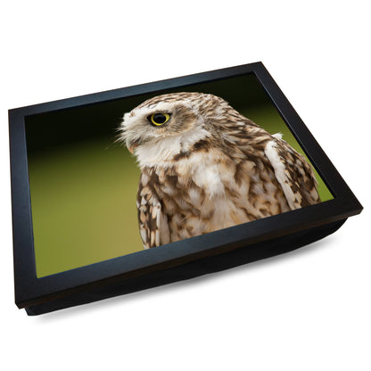 Owl Cushioned Lap Tray - my personalised lap tray | mooki   -   