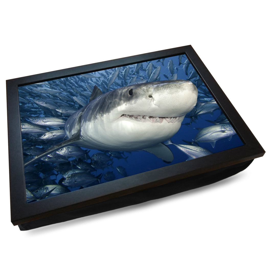 Great White Shark Cushioned Lap Tray - my personalised lap tray | mooki   -   