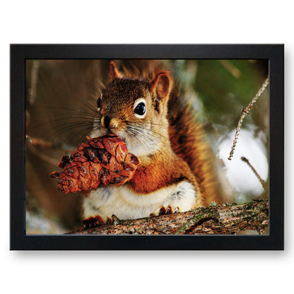 Red Squirrel Cushioned Lap Tray - my personalised lap tray | mooki   -   