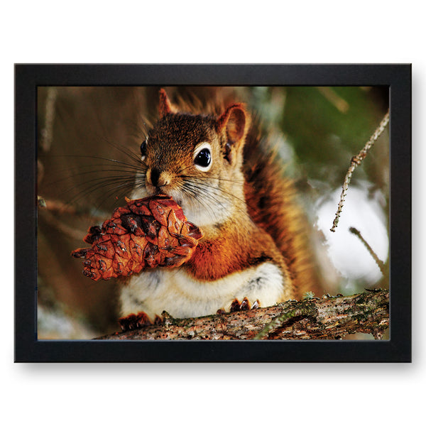 Load image into Gallery viewer, Red Squirrel Cushioned Lap Tray - my personalised lap tray | mooki   -   
