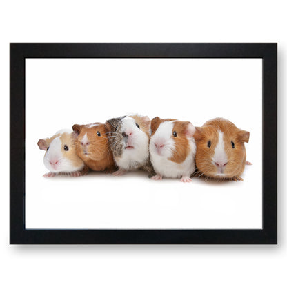 Family of Guinea Pigs Cushioned Lap Tray - my personalised lap tray | mooki   -   