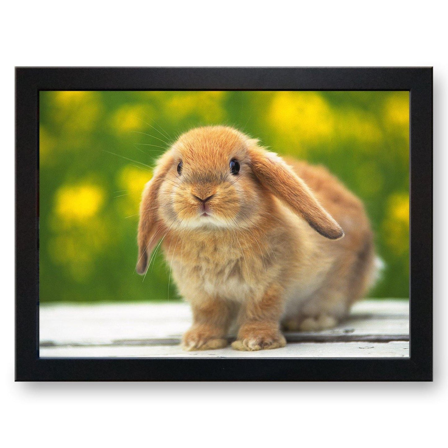 Cute Bunny Rabbit Cushioned Lap Tray - my personalised lap tray | mooki   -   