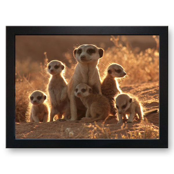 Load image into Gallery viewer, Family of Meerkats Cushioned Lap Tray

