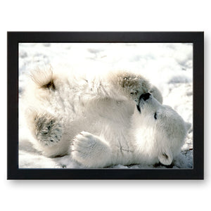 Polar Bear Cub Cushioned Lap Tray