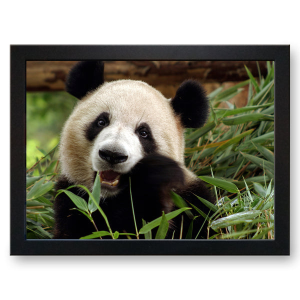 Load image into Gallery viewer, Giant Panda Cushioned Lap Tray
