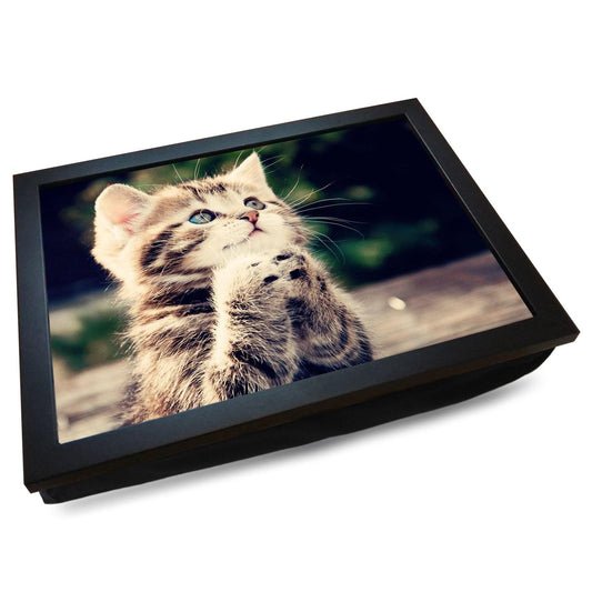 Begging Tabby Kitten Cushioned Lap Tray - my personalised lap tray | mooki   -   