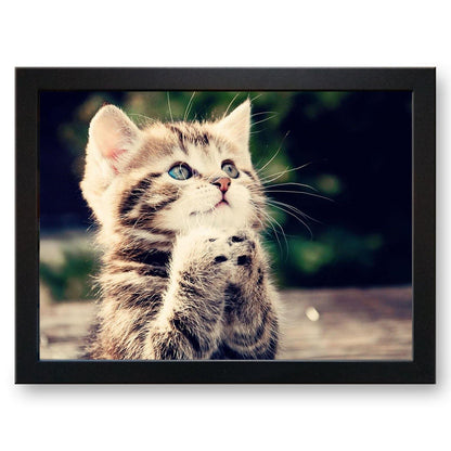 Begging Tabby Kitten Cushioned Lap Tray - my personalised lap tray | mooki   -   