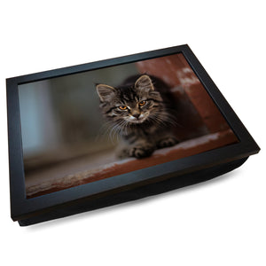 Intense Prowling Tabby Cat Cushioned Lap Tray - my personalised lap tray | mooki   -   