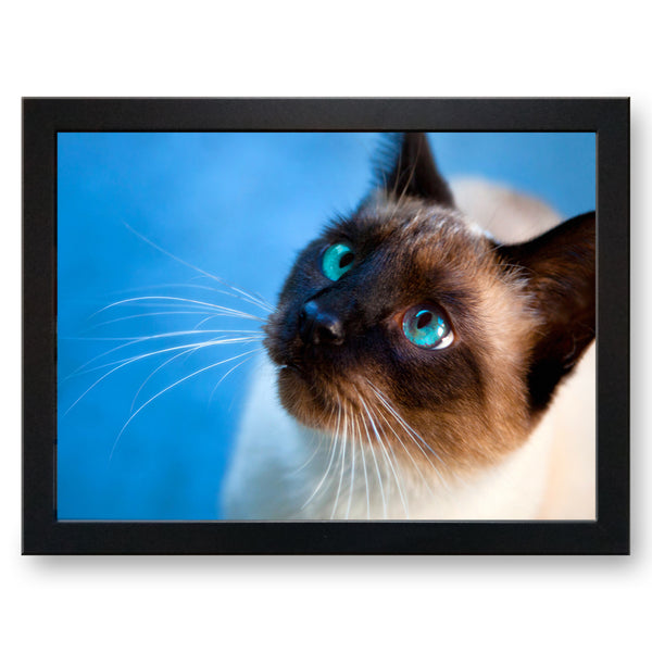 Load image into Gallery viewer, Siamese Cat with Blue Eyes Cushioned Lap Tray - my personalised lap tray | mooki   -   

