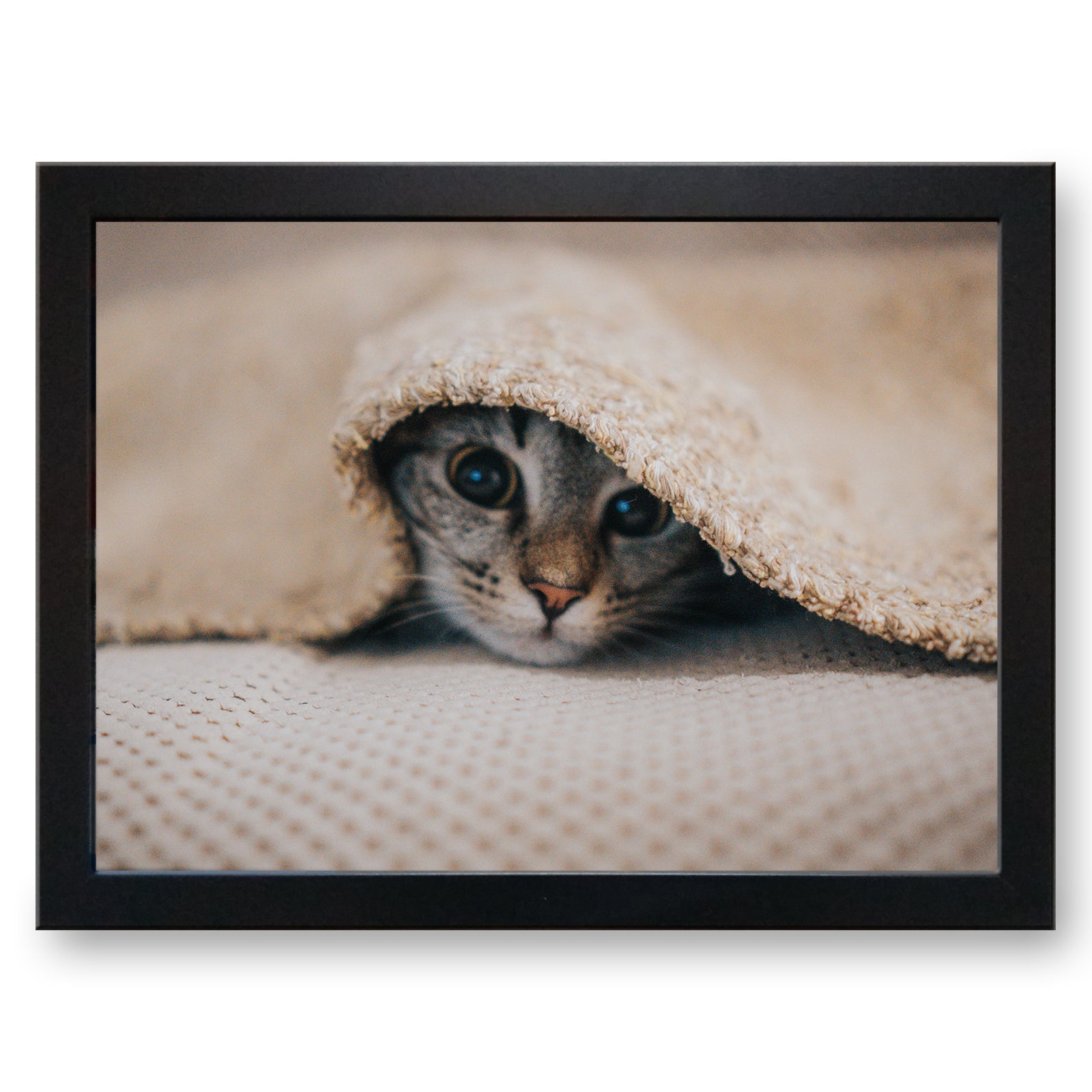Grey Tabby Cat Peeking from under a Blanket Cushioned Lap Tray