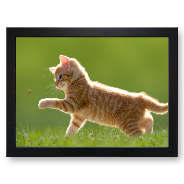 Load image into Gallery viewer, Ginger Tabby Kitten Playing with a Ladybird Cushioned Lap Tray - my personalised lap tray | mooki   -   
