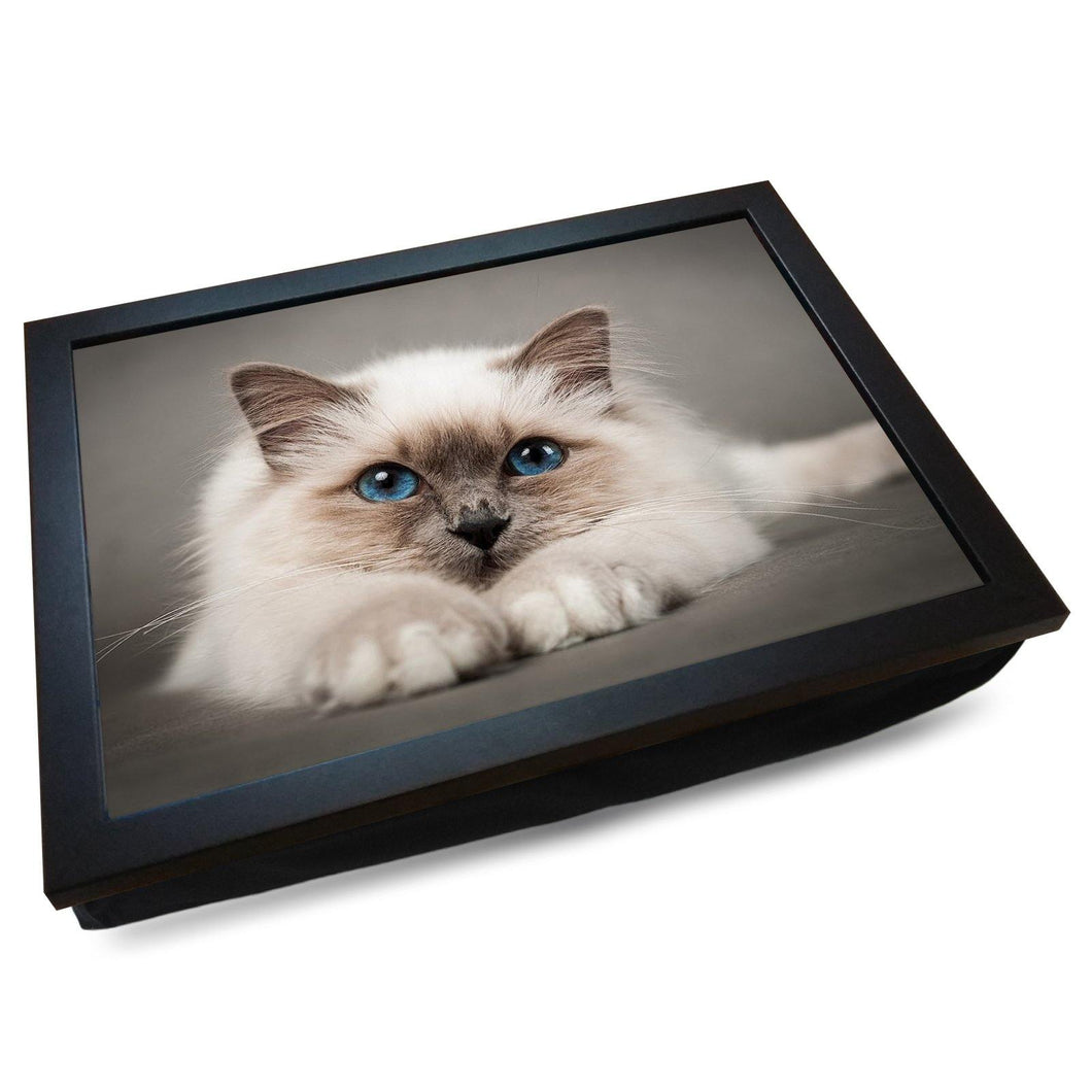 Wooden Lap Tray with Kitten Design and Cushion